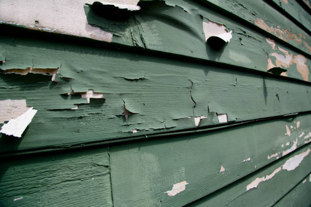 Best Commercial Junk Removal  in Irwin, PA